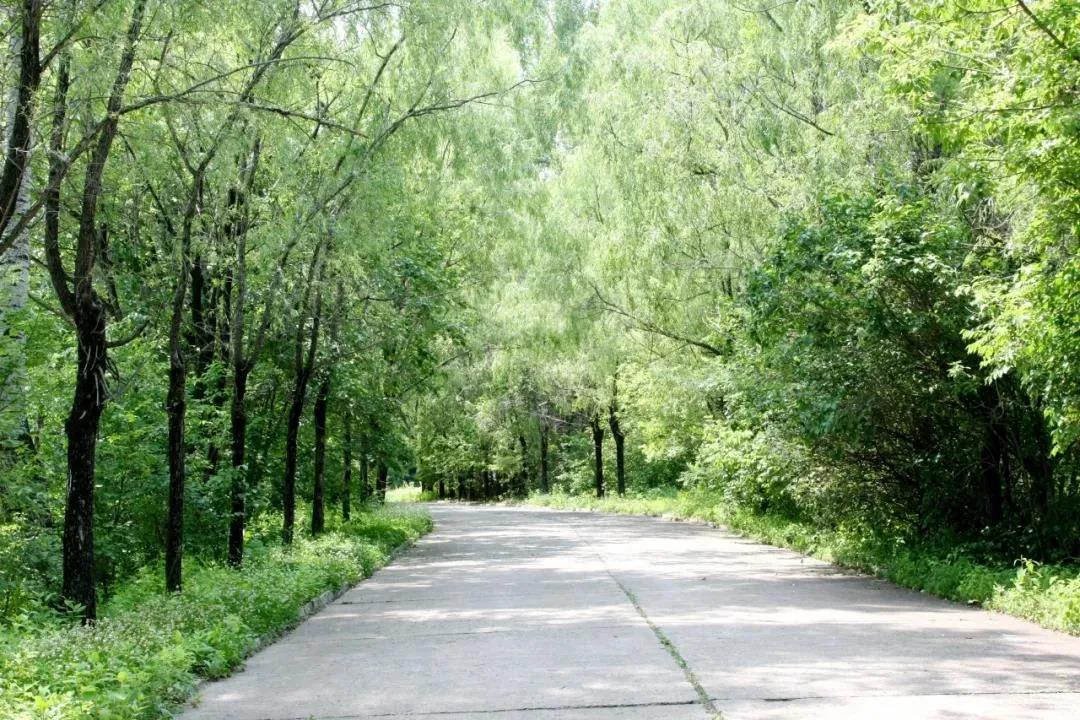 首页-人生就是博手机版