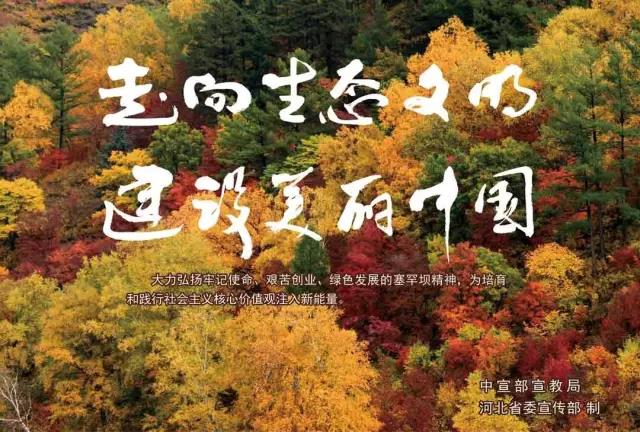 首页-人生就是博手机版